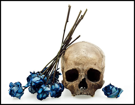 david-bailey-human-skull-with-blue-rose-2009
