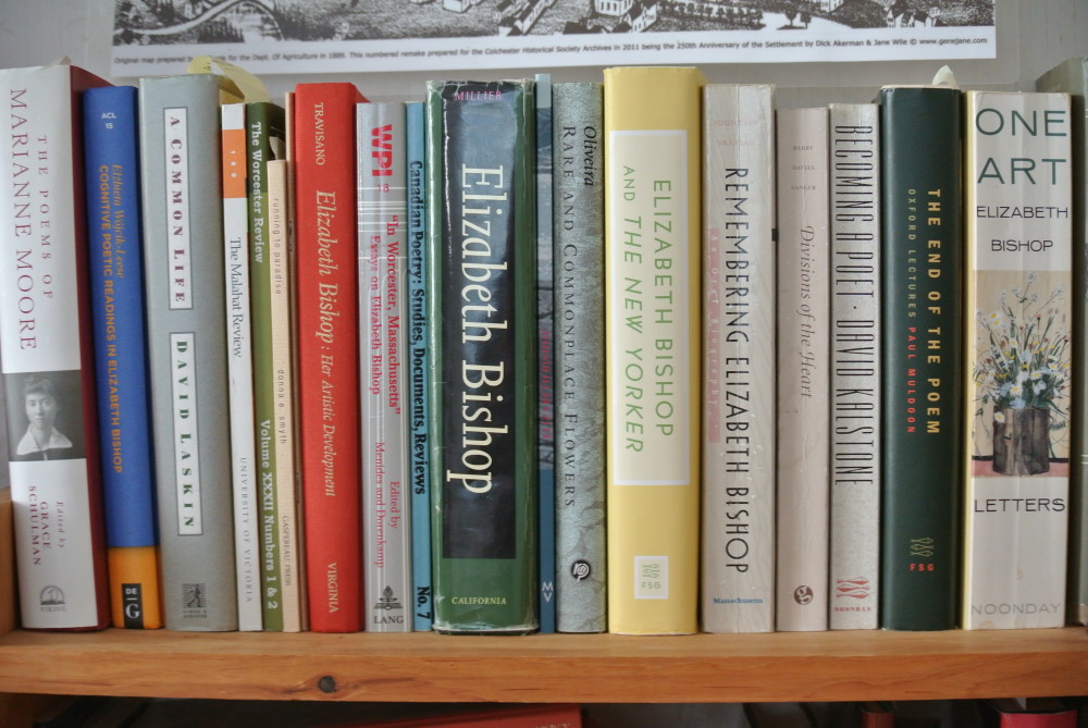 A shelfie in the Elizabeth Bishop House, Great Village, Nova Scotia